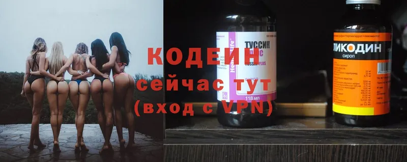 darknet как зайти  OMG   Каргополь  Кодеин напиток Lean (лин) 